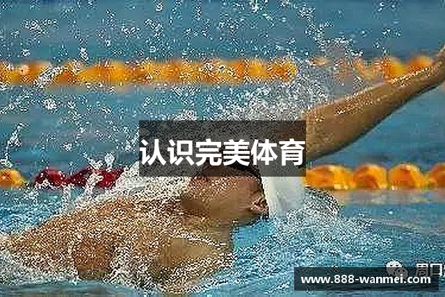 认识完美体育